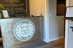 Canine Crew Co. Photo