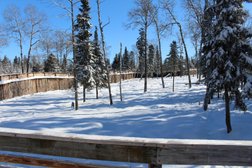 Chippewa Park Wildlife Exhibit Division of Parks and Recreation in Thunder Bay