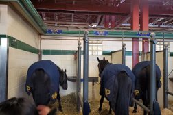 Home of RCMP Musical Ride Stables Photo