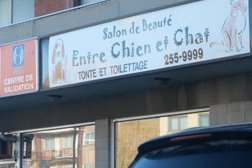 Toilettage Entre Chien et Chat in Montreal