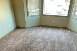 Premium Carpet Cleaning in Red Deer