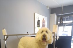 Salon De Beaute Canine in Montreal