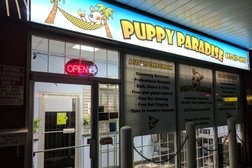 Puppy Paradise Grooming Photo