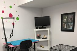 Wags And Whiskers Dog Grooming Photo