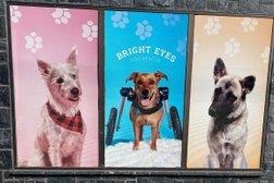 Bright Eyes Dog Rescue Inc. Photo