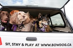 BowDog Canine Specialists Photo