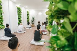 Lyfe Meditation Studio in Toronto