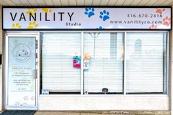 VANILITY Pet Photography - Dog and Cat Studio in Toronto