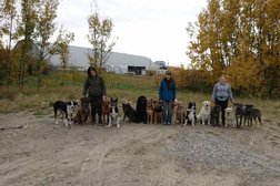 Four On The Floor: Grooming, Daycare, Boarding, Training in Airdrie