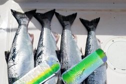 Bites On Fishing Charters in Vancouver