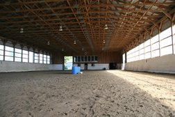 Morning Star Equestrian Farm in Brantford
