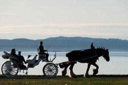 Tally-Ho Carriage Tours in Victoria