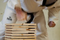 Hi-performance Taekwondo Photo