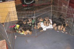 Westchester Kennels in St. Catharines