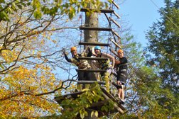 Treetop Eco-Adventure Park in Oshawa