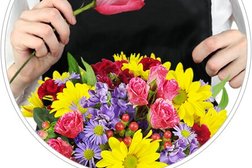 Lasting Expressions Floral Design Photo