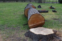 Halifax Tree Removal in Halifax