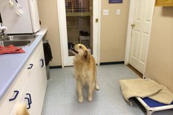 Time 4 Dogs Boarding Kennel Photo